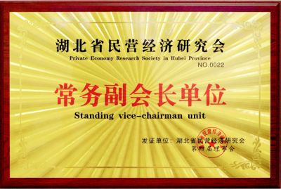 常务副会长单元