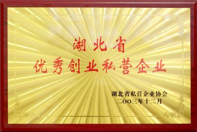 优异创业公营企业